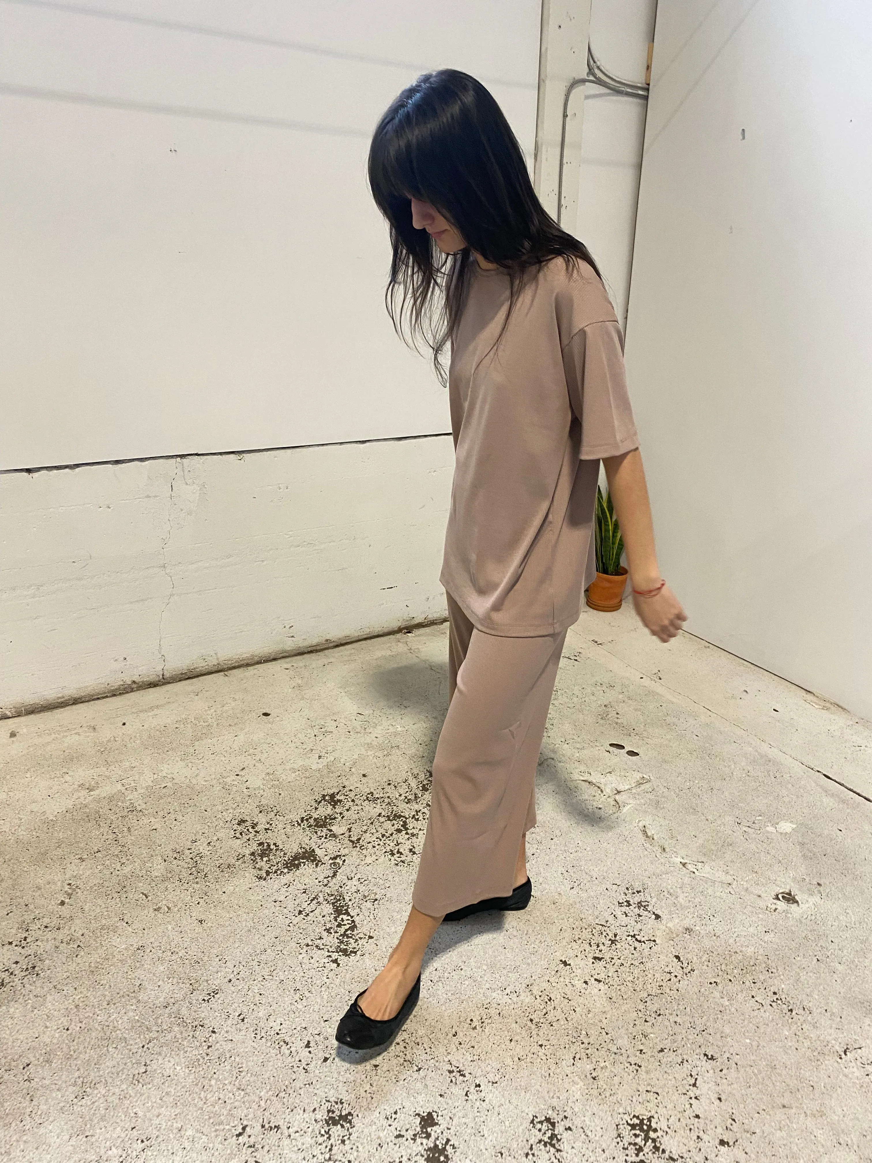 Joshua Shortsleeve Top in Taupe