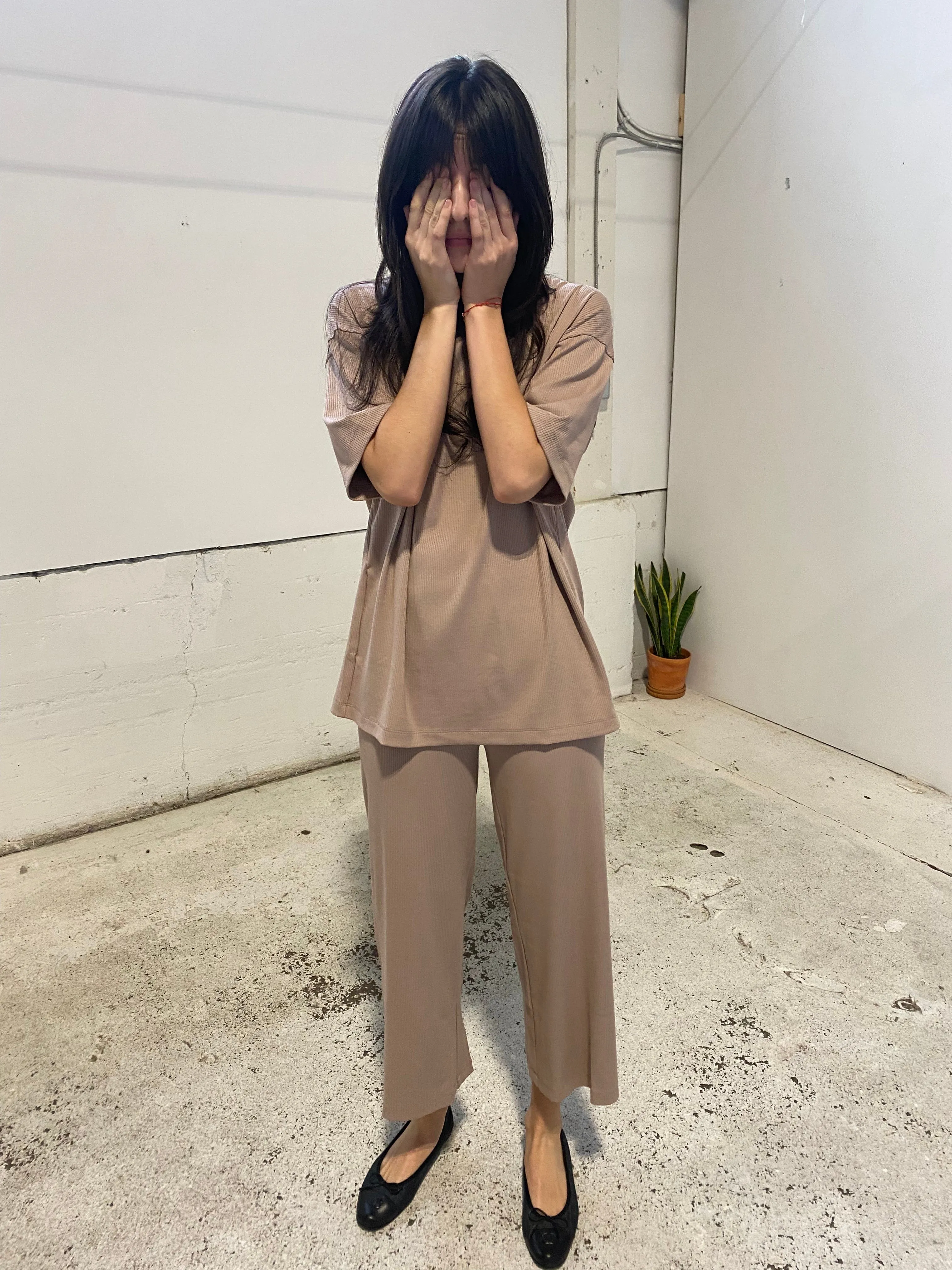 Joshua Shortsleeve Top in Taupe