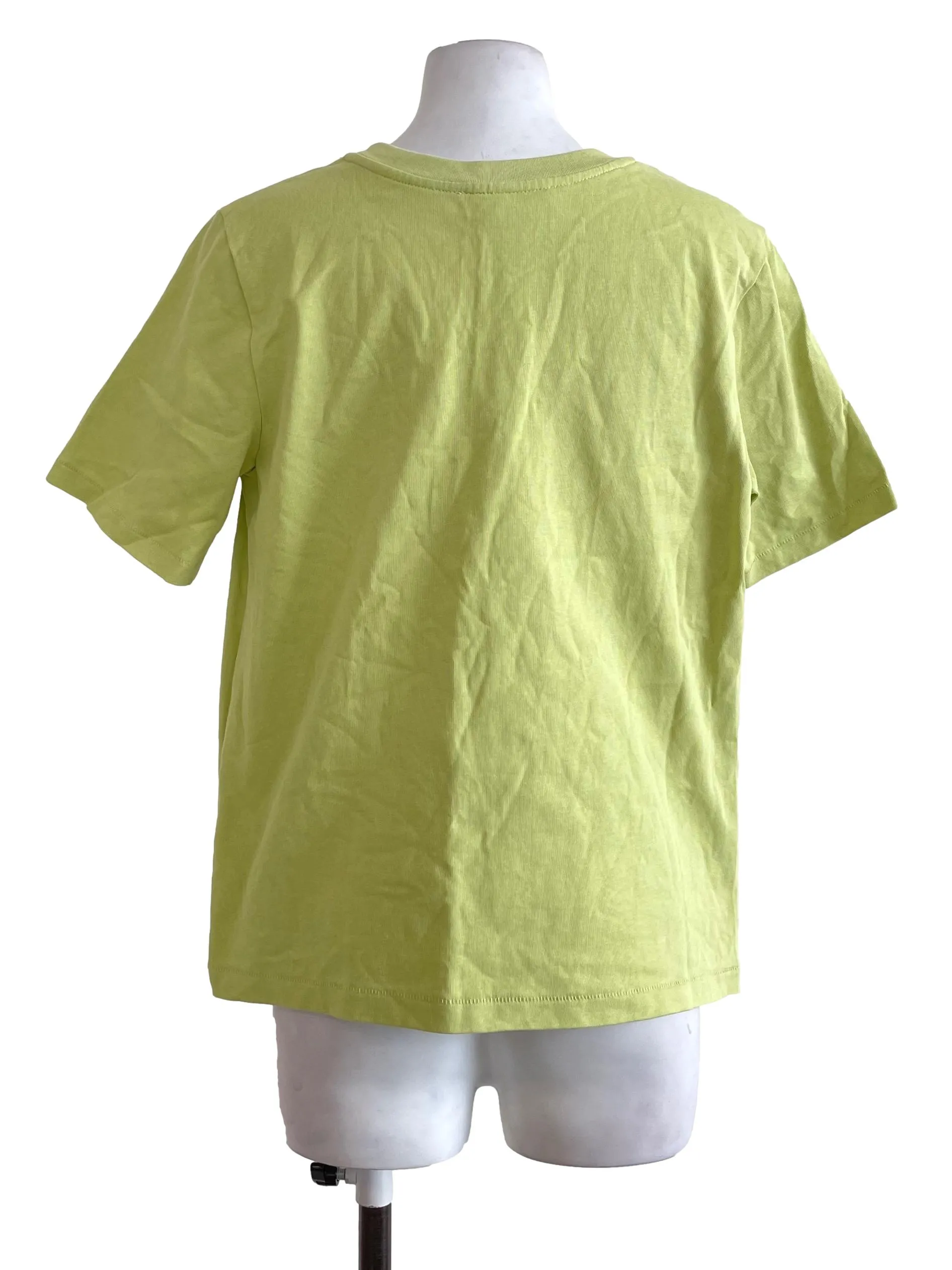 Pastel Green T Shirt LB