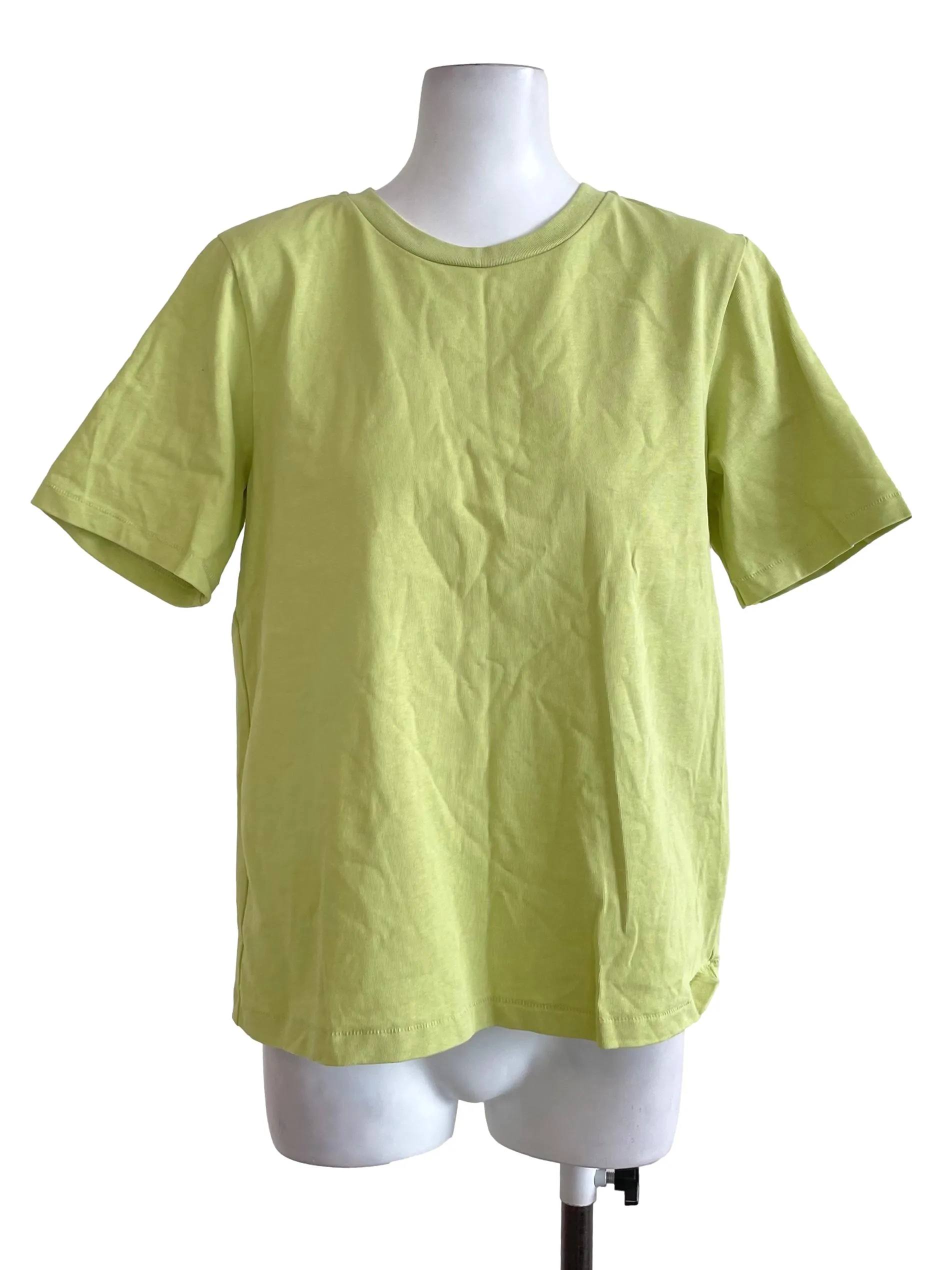 Pastel Green T Shirt LB